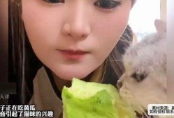 吃瓜声音配音,揭秘吃瓜群众的趣味配音之旅