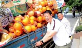 凤阳吃瓜视频,揭秘乡村生活趣味瞬间