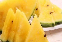 天津吃瓜哪里最好,天津吃瓜圣地大盘点