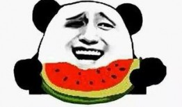 瓜哥吃瓜之金句,笑谈娱乐圈，揭秘幕后真相