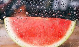 落雪吃瓜完结,一场跨越时空的奇幻之旅终章揭晓