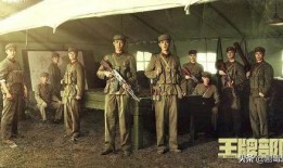豆瓣王牌部队吃瓜,王牌部队背后的吃瓜真相，揭秘军旅生活点滴