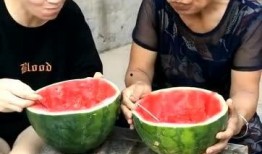 吃瓜的工作视频,工作视频中的趣味瞬间