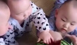 三兄弟吃瓜段子,一场笑料百出的夏日盛宴