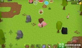 奇妙大世界吃瓜群,揭秘网络社交圈的趣味与争议