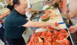 兰州校园吃瓜,揭秘校园美食文化盛宴