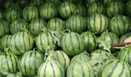 饶平最新吃瓜新闻,最新“吃瓜”新闻揭秘，真相令人咋舌！