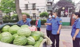 兰州校园吃瓜,揭秘校园美食文化盛宴