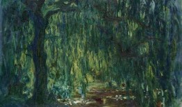 只吃瓜不修行,揭秘只吃瓜不修行的独特人生