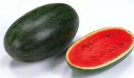 吃西瓜是瓜花还是瓜巴好吃,瓜花与瓜巴，谁才是美味佳肴？