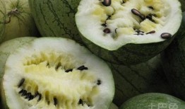 响水籽瓜怎么吃,解锁夏日清新美味