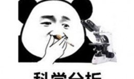 憨瓜吃鸡系列大全,欢乐逗趣的生存之旅