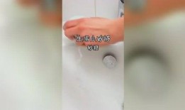 吃瓜姐妹社老师,老师视角下的校园风云录