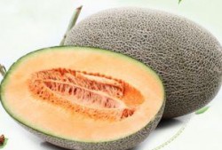 隔天的瓜可以吃吗,隔夜瓜果安全食用指南