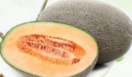 隔天的瓜可以吃吗,隔夜瓜果安全食用指南