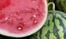 这个季节可以吃麒麟瓜,夏季消暑佳品推荐”
