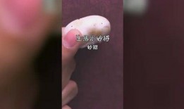 吃瓜姐妹社老师,老师视角下的校园风云录