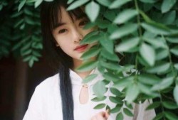 南笙吃瓜群,揭秘娱乐圈幕后故事