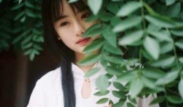 南笙吃瓜群,揭秘娱乐圈幕后故事