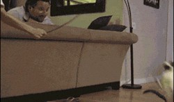 吃瓜的gif,GIF瞬间捕捉生活瞬间