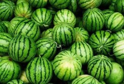 蛤蟆吃瓜活动反思,反思与成长之旅