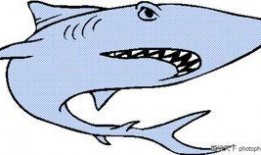 吃瓜鲨鱼怎么画,绘制吃瓜鲨鱼的趣味教程