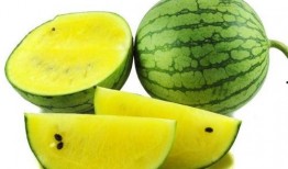 糖花黄毛吃瓜,揭秘网络热梗背后的故事