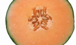 孕妇可以吃哈米瓜吗