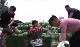 吃瓜事件老师乾安,吃瓜事件背后的教育启示