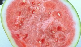 吃瓜的小店,品味人间烟火，畅享休闲时光