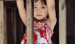 回到民国吃瓜,穿越时空的吃瓜之旅