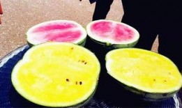 苏瓜几月吃的,揭秘每月最佳食用时间