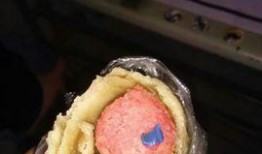 济宁卫校吃瓜,一场校园“吃瓜”事件的背后真相