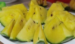 上海金山小瓜怎么吃,解锁夏日清新美味