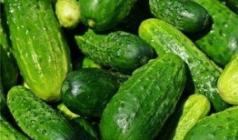 梦见到瓜地吃瓜,一场甜蜜的瓜果盛宴