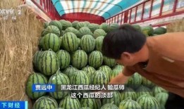 开江最新吃瓜,揭秘最新吃瓜事件背后的真相