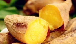 空腹可以吃土瓜,揭秘古老食材的现代养生之道