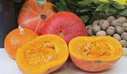 吃瓜视频和懒虫,揭秘网络娱乐新潮流