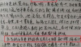 老师吃瓜作文头像版,老师吃瓜作文头像版趣闻