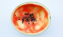 吃瓜勺子图片,揭秘夏日消暑神器背后的故事