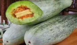 梦到摘羊角瓜吃,探寻摘羊角瓜的神秘之旅