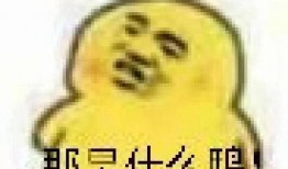 ch的吃瓜表情包,揭秘网络时代的社交新宠