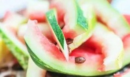 吃瓜勺子图片,揭秘夏日消暑神器背后的故事