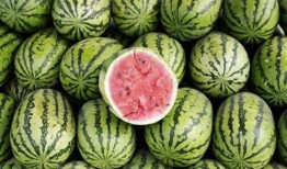 近期各种吃瓜,近期娱乐圈热点事件大盘点