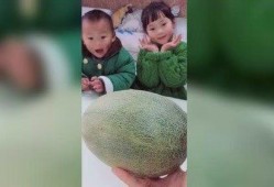 哥哥不让妹妹吃瓜,妹妹的瓜果之恋