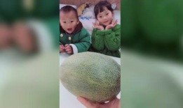 哥哥不让妹妹吃瓜,妹妹的瓜果之恋