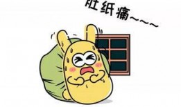 吃瓜群众的贷款,揭秘贷款背后的真实面貌