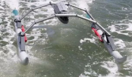 奇葩船带你吃瓜,解锁美食新境界