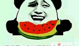 平静吃瓜什么梗,揭秘网络文化的狂欢与反思