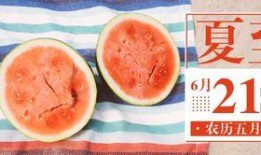 吃瓜岱公众号,带你领略美食背后的故事